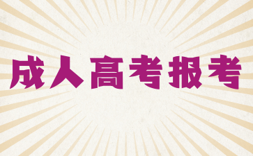 2024上海成考艺术类专业有哪些?